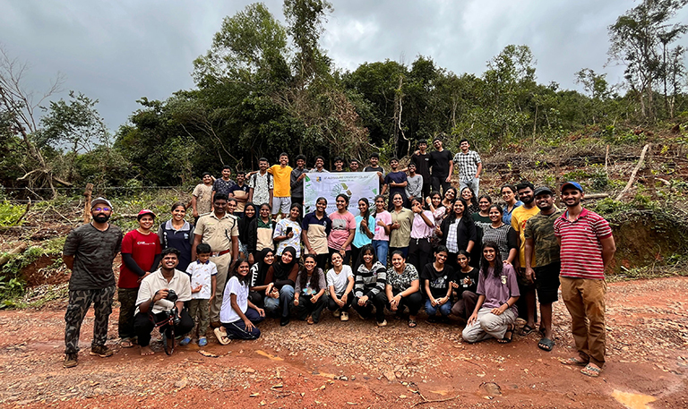 Plantation Drive